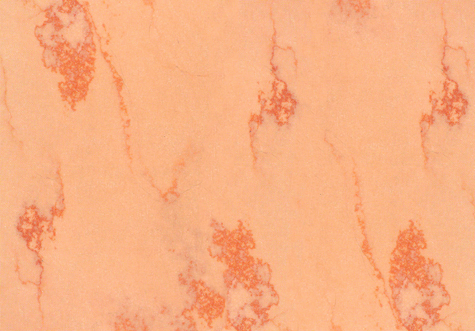 Fura Pink Marble